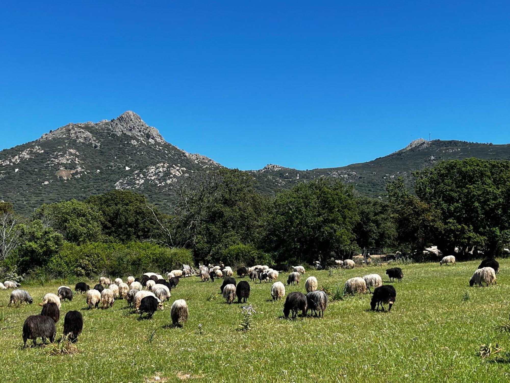 Location Du Ranch 호텔 알가졸라 외부 사진