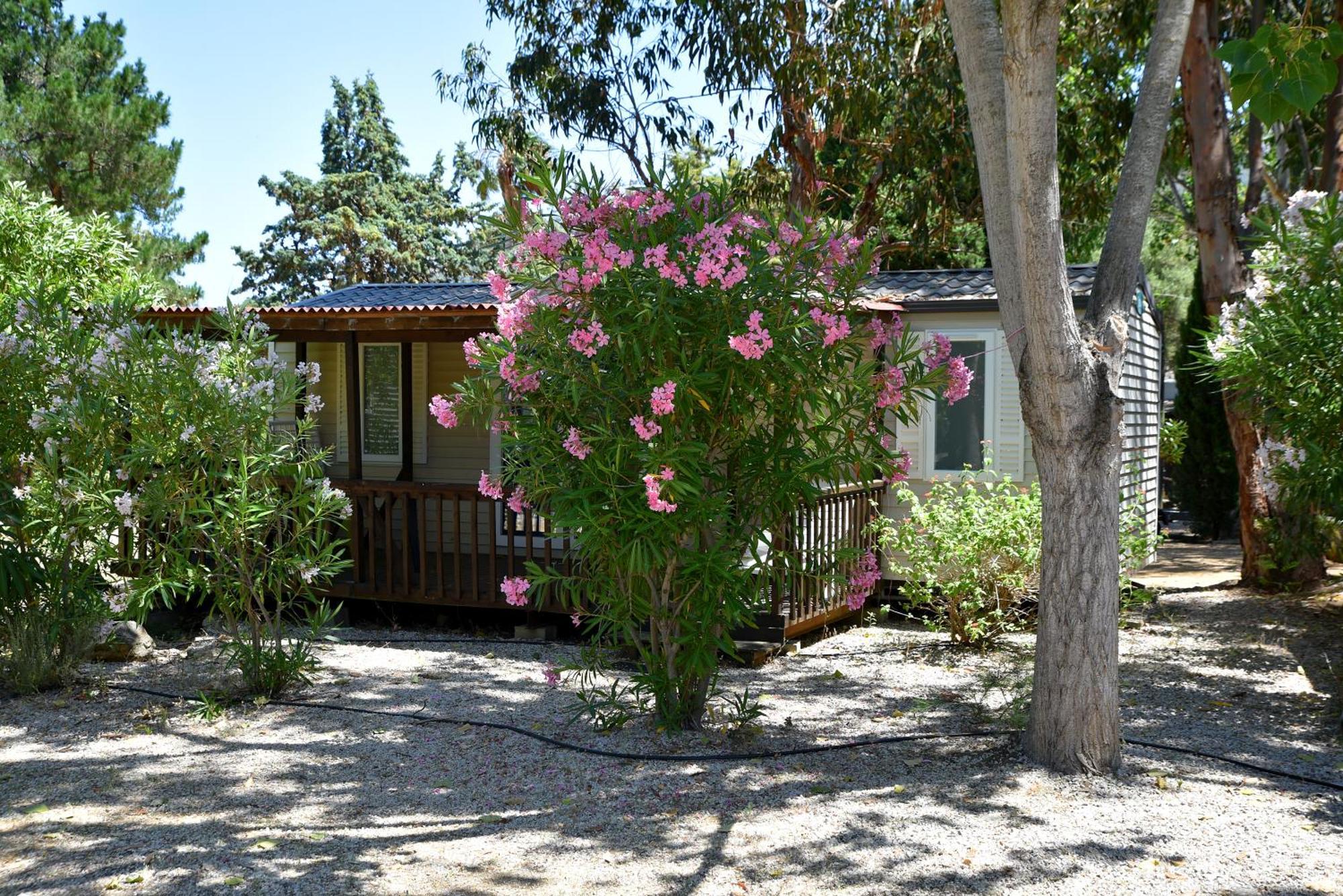 Location Du Ranch 호텔 알가졸라 외부 사진